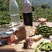 -Pausa Pranzo in Campagna - -Aprile 2020