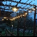 -Pergola di Uva fragola
Aprile - -