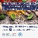 -Presentazione Progetto FAO Dieta Mediterranea - -Presentazione Progetto FAO Dieta Mediterranea