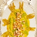 -Risotto ai Gamberi con Crema di Zucchine e Fiori di Zucca Croccanti - -