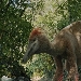 ArcheocineMANN, conclusa la rassegna del cinema archeologico, vincitori i film sui dinosauri e su Baia, citt sommersa, ottima la partecipazione delle scuole 
 - Il mondo dei dinosauri e le meraviglie sommerse di Baia vincitori della terza edizione di archeocineMANN 
il 