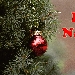 Buon Natale - -