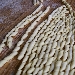 Busiati con tonno sott'olio di tonnara, zucchine,  pomodorini di Pachino e petali di mandorle di Avola fotografia di Mirko Gagliardi - -