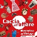 Caccia all'Affare - -