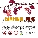 Campania.Wine - -