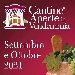 Cantine Aperte in Vendemmia - -