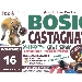 Castagnata - -