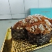 Colomba - -