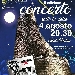 Concerto sotto le stelle II Edizione - -