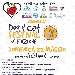 Dog and Cat Festival - -