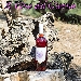 Ecce Vinum, IGP Paestum Rosato della Tenuta Massanova di Perdifumo (SA) - Vino dal colore cerasuolo carico. Al naso sentori di frutta rossa, in particolare ciliegia matura, con sfumature di rosa. Al palato si percepisce la buona struttura del vino, anche se dotato di ottima acidit che ne rende piacevole l'assaggio, lasciando la bocca pulita.
Pu essere usato come aperitivo o abbinato a formaggi freschi, piatti a base di pesce o carni bianche leggere.
Di questo vino  presente la scheda nella 