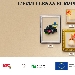 Eccellenza Europea - -