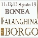 Falanghina al Borgo - -