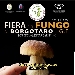 Fiera del Fungo di Borgotaro I.G.P. - -