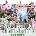 Fiori e Artigianato sull'antica Via Emilia - -