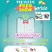 Food Show Festival - -