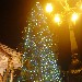 Albero di Natale a Piazza San Pietro (Roma) - Natale 2009 - Foto scattata da Luigi Farina il 25/12/2009