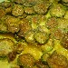 Frittata con le zucchine - Luigi Farina (lfarina52@yahoo.it)