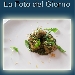 Gnocchi ripieni di ricotta con pesto di rucola - -