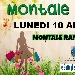 Montale in Fiore - -