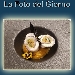 Rotolino di branzino agli ortaggi stagionali - -