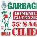 Sagra delle Ciliegie - -