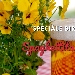 Speciale Birra della Piattaforma del Gusto - -