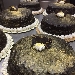 Torta rocher fondente - -