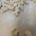 Tris di gnocchi senza glutine e lattosio al basilico e parmigiano - -