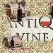 Vini Antiqua Vinea - -