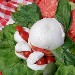 tipico piatto Campano  la Caprese - -