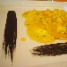 Alla Ricerca del Buono - Il Poeta Vesuviano - Torre del Greco (Napoli) - Ravioli ripieni di ricotta con salsa di zucca e scampi ed emulsione di nero di seppia