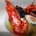 Rombo caprese in crosta al nero di seppia con gamberi su letto di scarola stufata preparato dallo Chef Ciro de Marino della Tenuta San Domenico di Capua (CE) - -